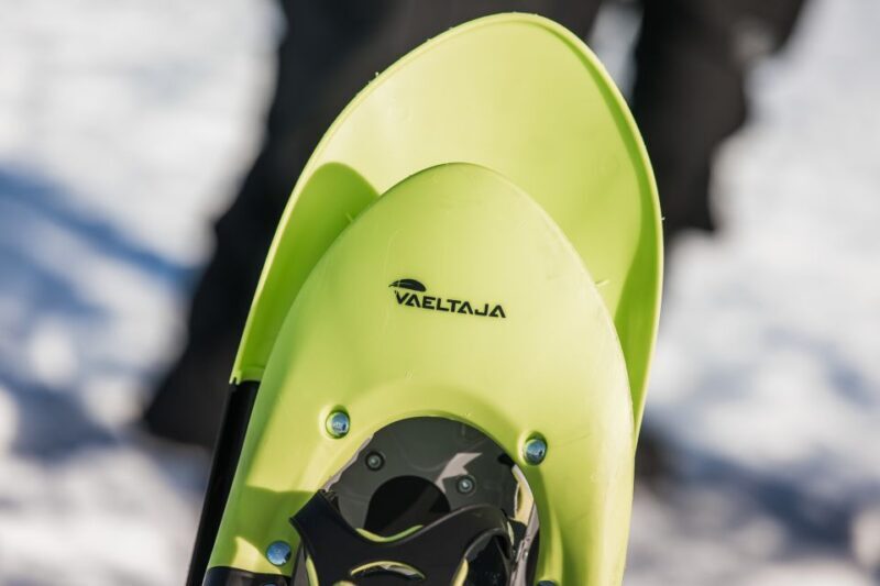 Rovaniemi: Winter Wilderness Snowshoeing Trip - The Campfire and Skills Session