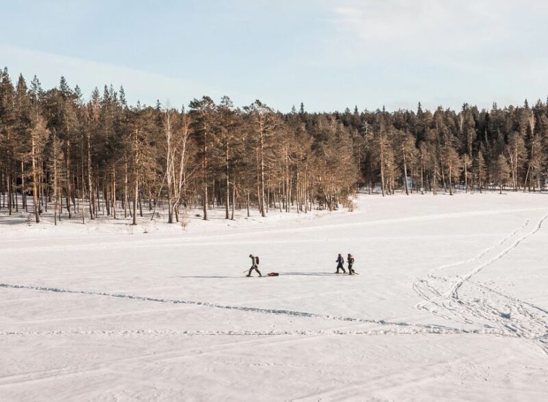 Rovaniemi: Winter Wilderness Snowshoeing Trip - Authentic Landscape and Guides