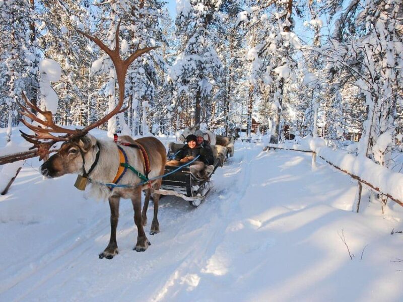 Rovaniemis Magical Christmas Tour: Santas Home - An In-Depth Look at the Rovaniemi Christmas Tour