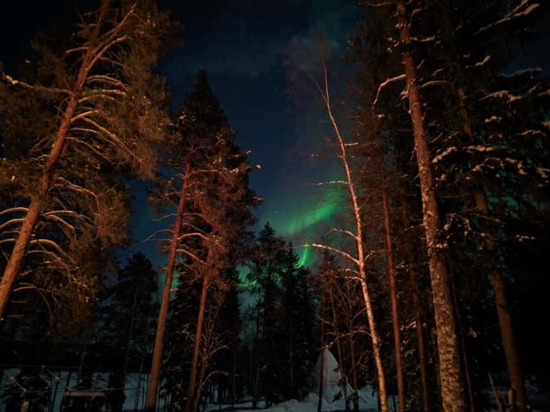 Rovaniemi:Santa Claus Village Guided Tour with Santa's gift - A Detailed Look at the Tour Experience