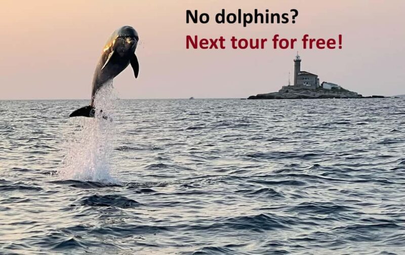 Rovinj: Dolphin Watching Sunset Speedboat Tour with Drinks - Sunset and Scenic Sightseeing
