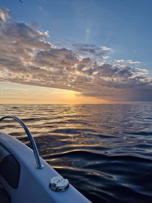 Rovinj Islands: 3-Hour Tour with Swimming and Snorkeling - Final Thoughts