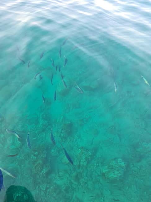 Rovinj Islands: 3-Hour Tour with Swimming and Snorkeling - FAQs