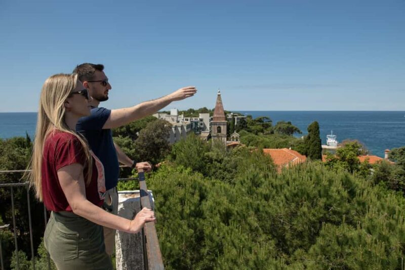 Rovinj or Vrsar: Rovinj Islands and Lim Fjord Speedboat Tour - The Sum Up: Is It Worth It?