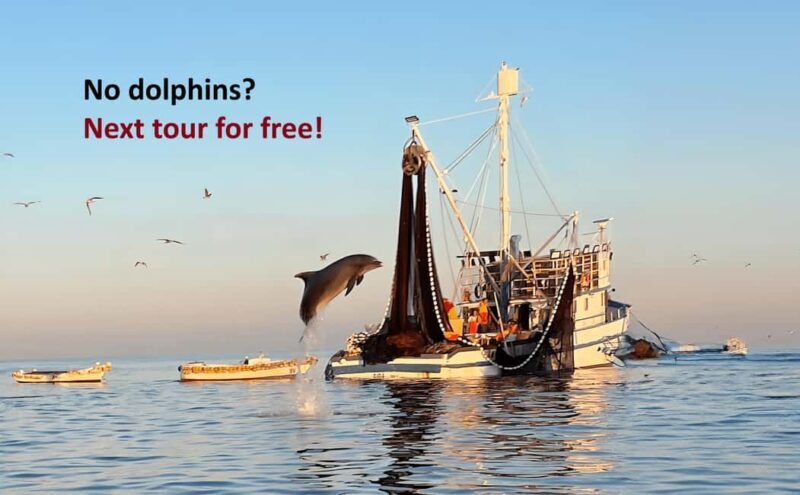 Rovinj: Sunrise Dolphins & Fishermen at Work Speedboat Tour - Practical Tips for Your Tour