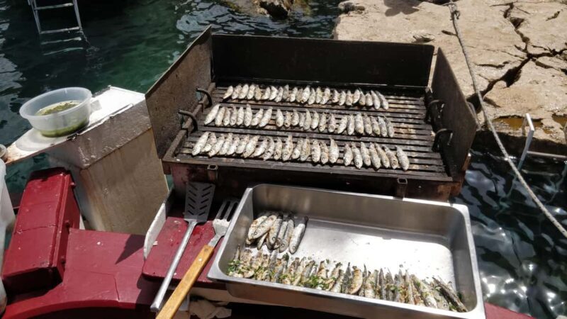 Rovinj: Sunset Lim Fjord Tour with BBQ, Swimming & Dolphins - What Reviewers Say: Authentic Insights