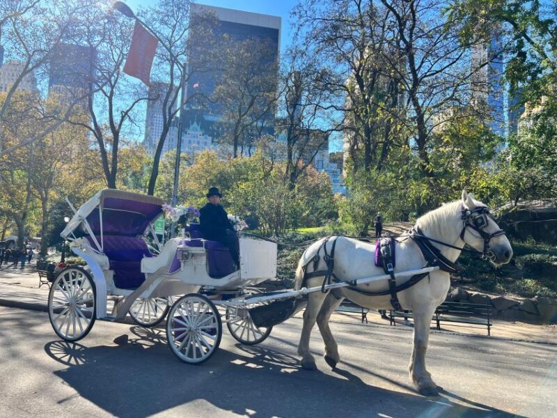 Royal Carriage Ride in Central Park NYC - An In-Depth Look at the Royal Carriage Ride Experience