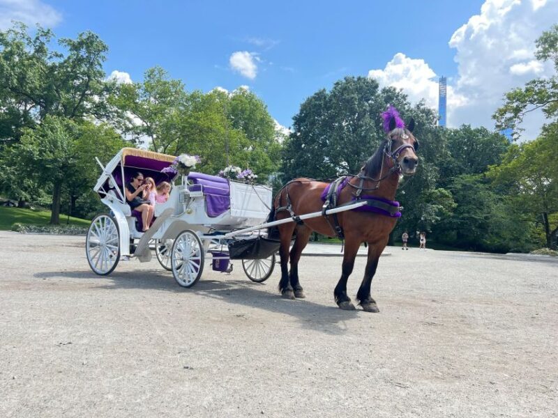 Royal Carriage Ride in Central Park NYC - Final Thoughts: Is It Worth It?