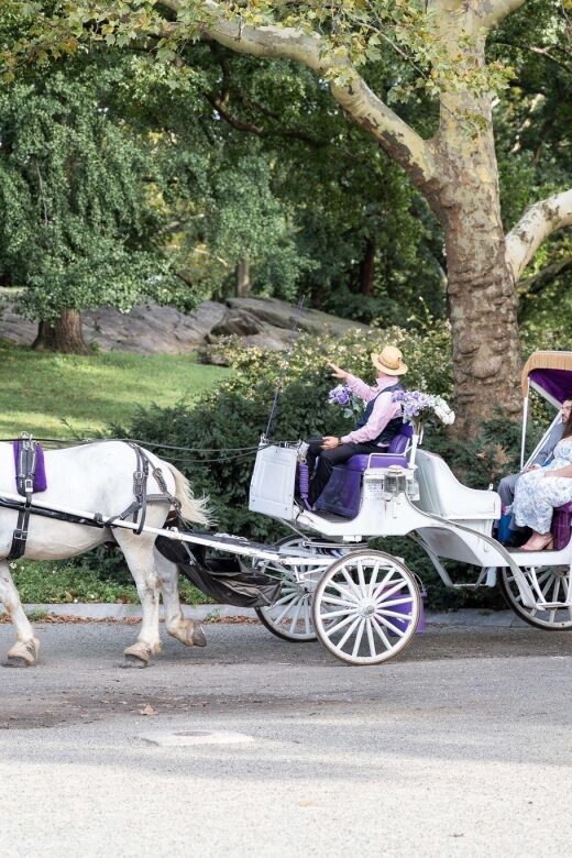 Royal Carriage Ride in Central Park NYC - FAQs