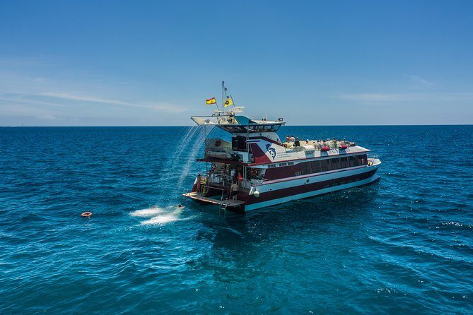 Royal Delfin 3H Dolphin & Whale Watching! Swimming & Lunch! - FAQs