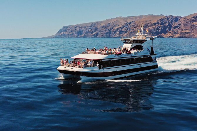 Royal Delfin - 4'5H Dolphin & Whale Watching - Los Gigantes Masca - Lunch & Swim - The Value of This Experience