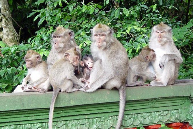 Royal Family Temple, Monkey Forest, and Tanah Lot Sunset Tour - Final Thoughts: Is This Tour Worth It?