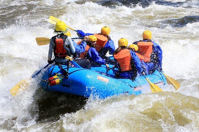 Royal Gorge Full Day Rafting - What to Expect from the Royal Gorge Full Day Rafting