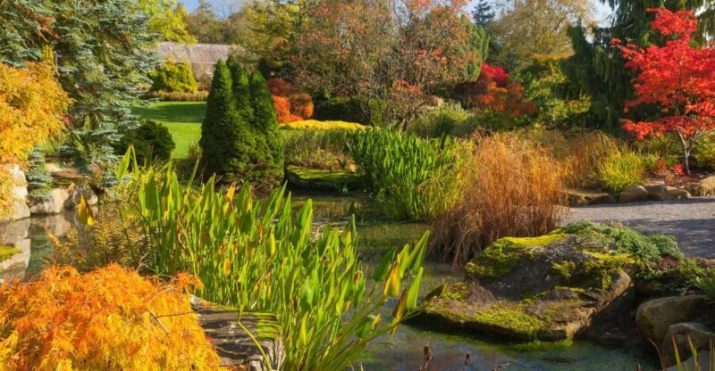 Royal Horticultural Society: Harlow Carr Garden Ticket - Is It Worth the Price?
