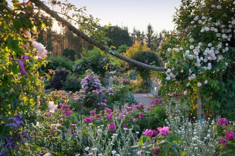 Royal Horticultural Society: Rosemoor Garden Ticket - The Sum Up