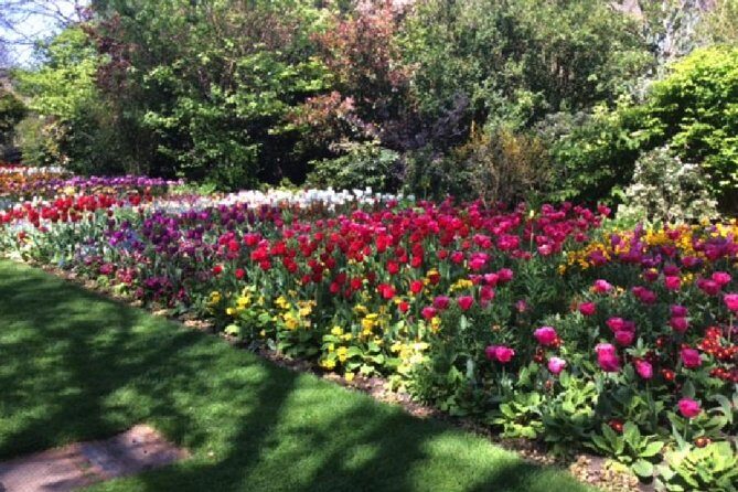 Royal London Private Walking Tour - FAQ