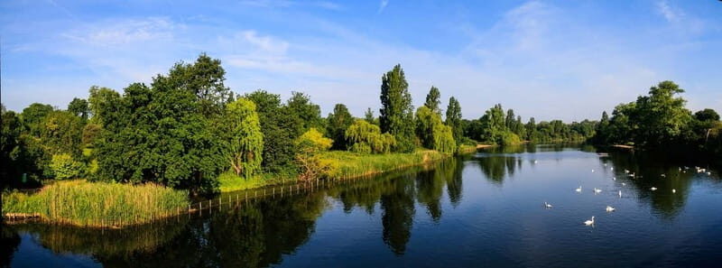 Royal London Walking Tour - Authentic Insights from Reviews