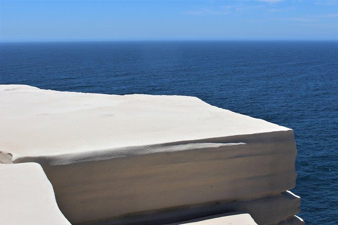 Royal National Park Private Tour - A Deep Dive into the Royal National Park Private Tour