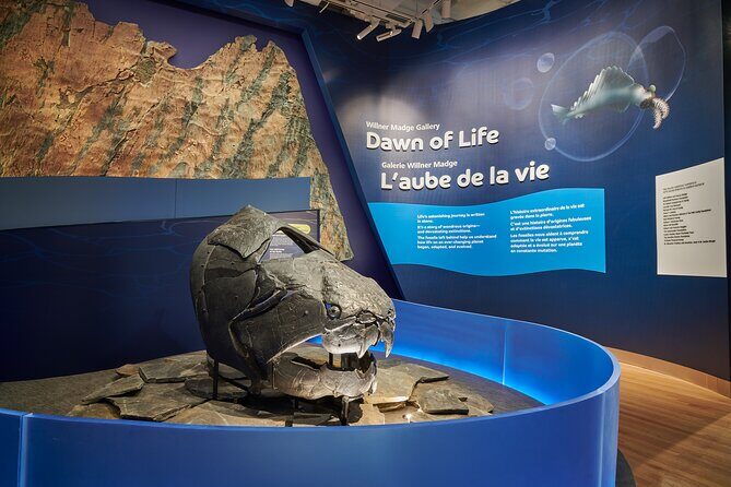 Royal Ontario Museum Admission - A Closer Look at What Makes the ROM Stand Out