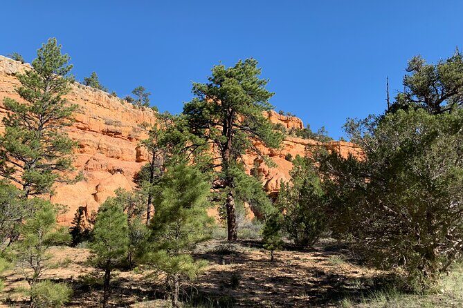 Ruby's Horseback Adventures Utah Half Day Ride - Authentic Experiences and Authenticity