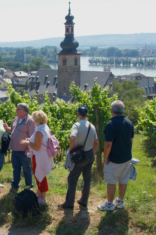 Rüdesheim am Rhein: city tour - An Overview of the Rüdesheim am Rhein City Tour
