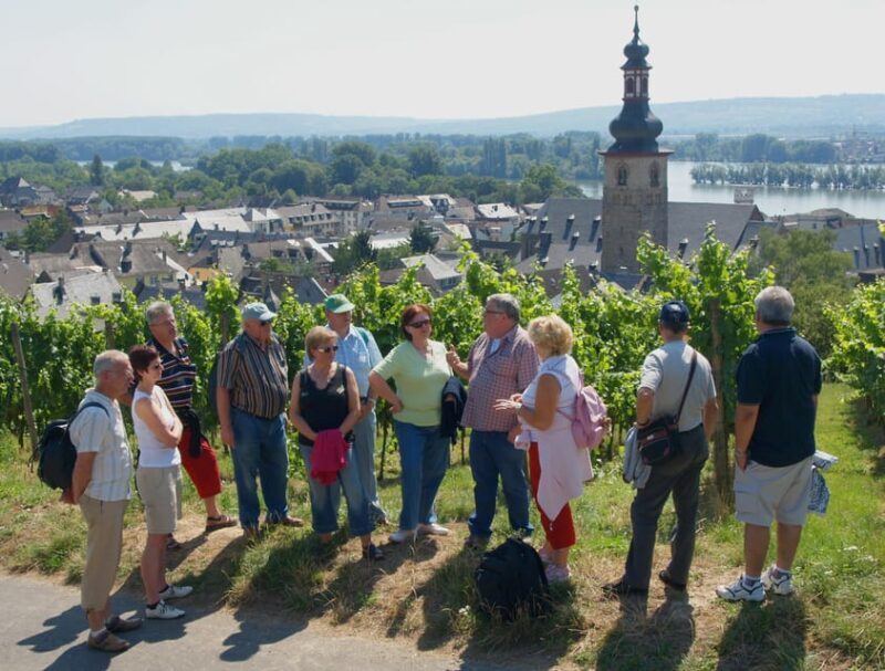 Rüdesheim am Rhein: city tour - What to Expect from Your Guided Walk