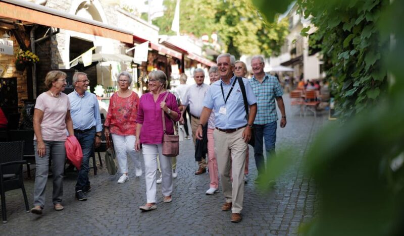 Rüdesheim am Rhein: city tour - Group Size and Overall Experience