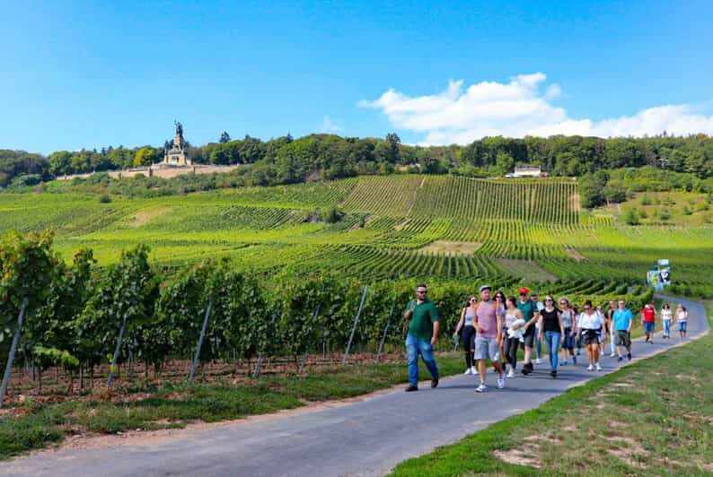 Rüdesheim - Guided wine hikes with 4wines and cable car ride - An In-Depth Look at the Rüdesheim Wine Hike Experience