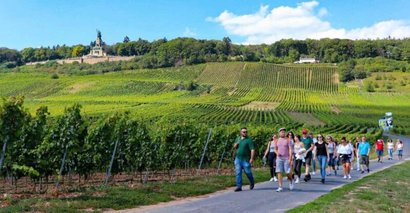 Rüdesheim - Guided wine hikes with 4wines and cable car ride - FAQ