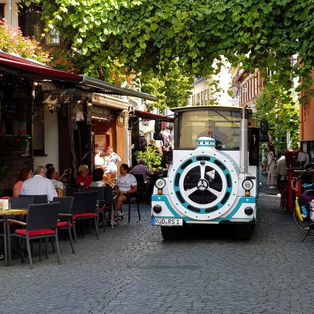 Rüdesheim sightseeing tour with the Winzerexpress - Authentic Insights from Traveler Reviews