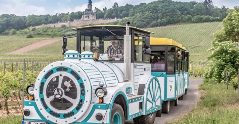 Rüdesheim sightseeing tour with the Winzerexpress - Who Will Enjoy This Tour?