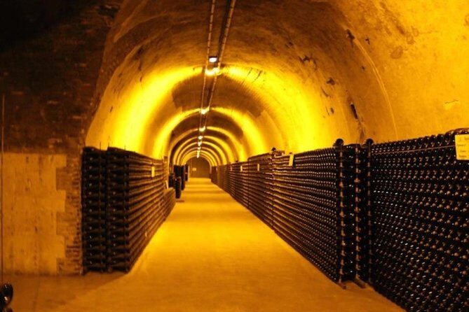 Ruinart champagne special tour - Final Thoughts: Who Should Book This Tour?