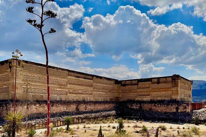 ruins ,colors and maguey private tour - An In-Depth Look at the Tour: What’s Included and Why It Matters