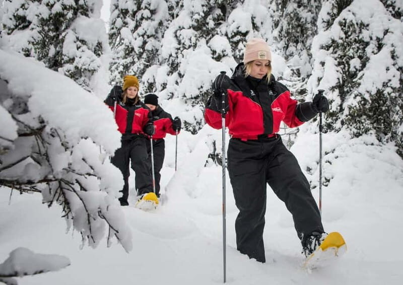 Ruka:Daytime winter wonderland hike - Key Points