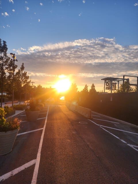 Run, Eat, Explore: NYC's Food & Fitness Adventure - Cost and Value