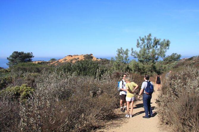 Runyon Canyon Hiking Tour - Who Should Book This Tour?