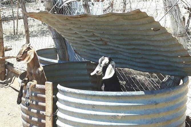 Rural And Hiking Expedition In Sierra La Laguna - FAQs