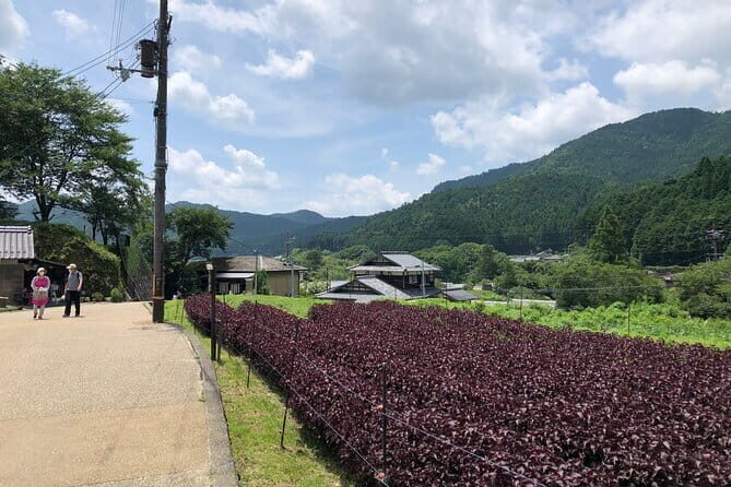 Rural Kyoto One Day Tour of a Tranquil Landscape in Ohara - Discovering Ohara: An Escape to Serenity