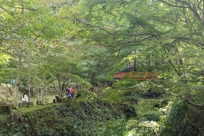 Rural Kyoto One Day Tour of a Tranquil Landscape in Ohara - Who Will Love This Tour?