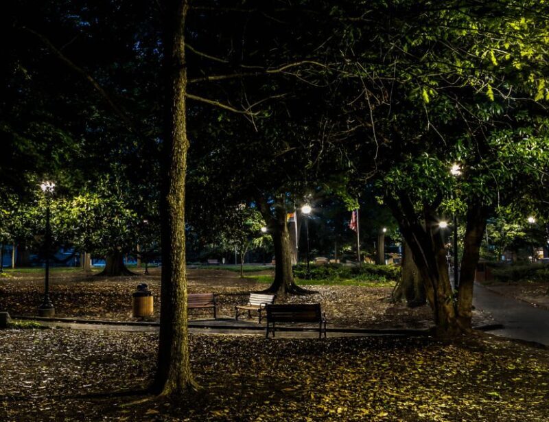 Rust, Rebels & Ruins: Raleigh Ghost Tours - Key Points