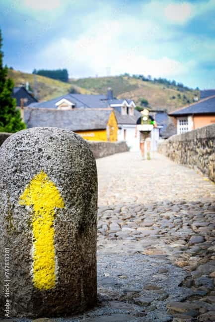 Ruta Ribeira Sacra and Sarria: Between Vineyards, History and the Way of Saint James - An In-Depth Look at the Tour Experience