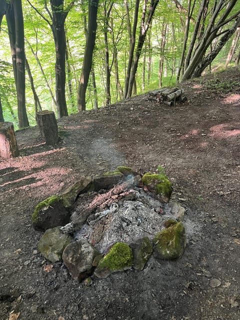 Rzeszów: Countryside trip with bonfire & sausage grilling - Practical Details and Tips