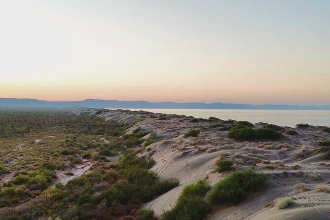 RZR Tour of Mogote Dunes and Sandboarding - Exploring the Dunes: What to Expect