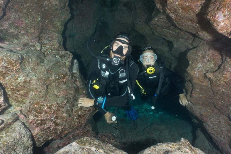 S Tenerife: Guided Boat Dive for Qualified Divers - FAQs