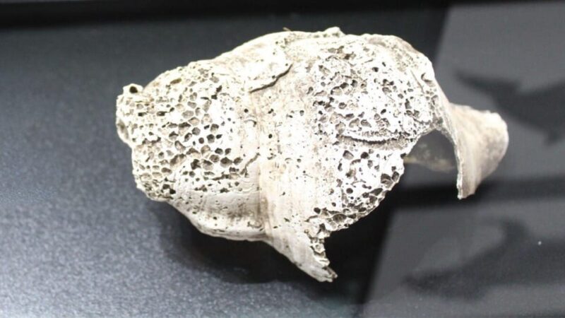 S. Teresa Gallura: Lu Brandali & Longosardo Tower ticket - In-Depth Review of the Experience