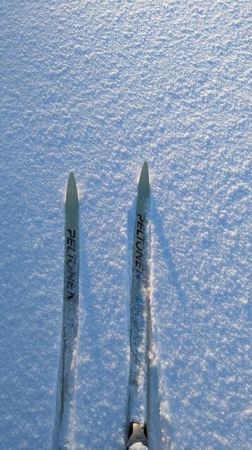 Saariselkä: Back-Country Skiing Guided Tour - Key Points