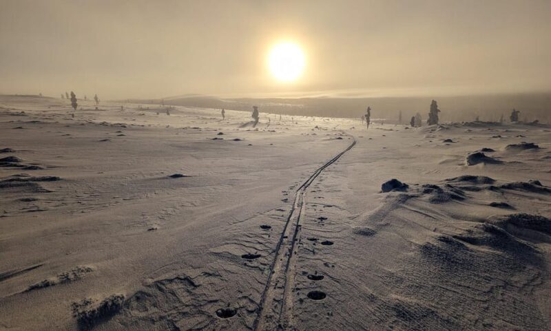 Saariselkä: Back-Country Skiing Guided Tour - An In-Depth Look at the Back-Country Skiing Tour