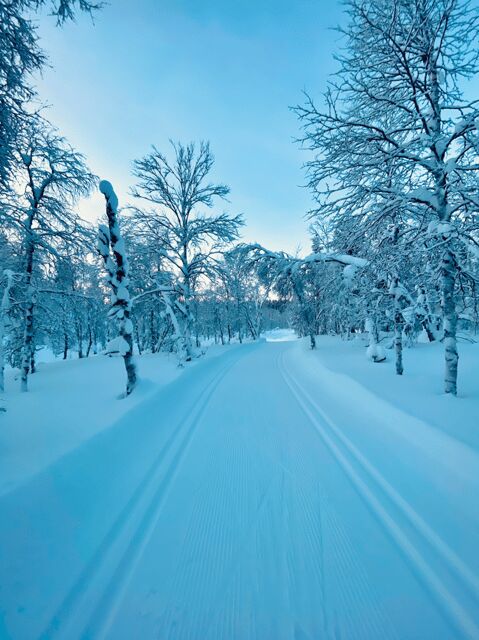 Saariselkä: Cross-Country Skiing for beginners - FAQs