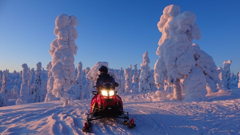 Saariselkä: Evening Snowmobile Tour with Fire & picnic - Authentic Experiences from Reviews