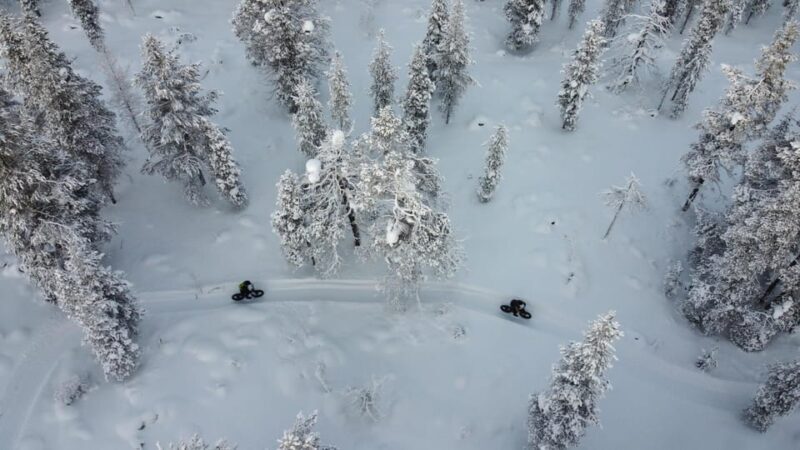 Saariselkä: Guided Fatbike Tour - Key Points